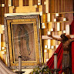 Meet your Posher, Marco